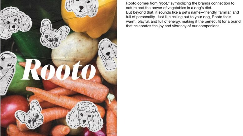 Буклет описание Rooto