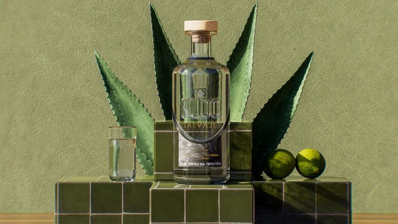 Бутылка мескаля на фоне агавы и лаймов Nudo Salvaje Mezcal