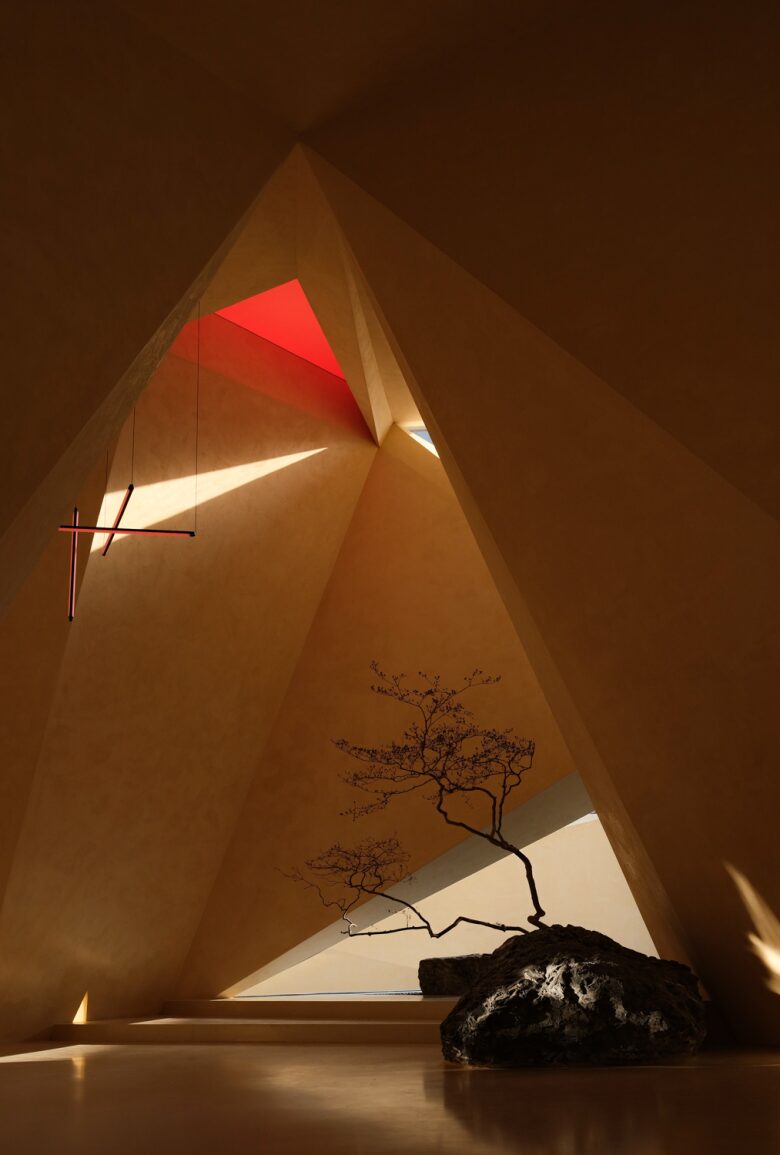 Шоурум Fang Eyewear Треугольная ниша с бонсай и камнем