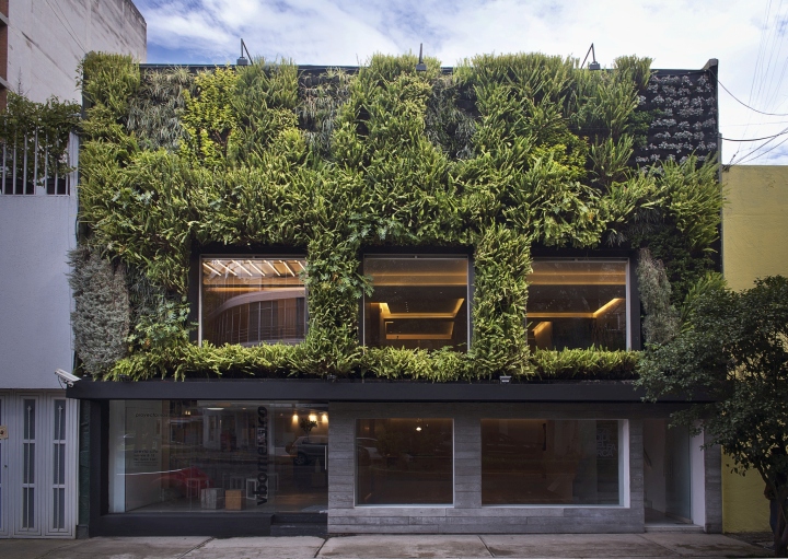 Фасад здания украшают высаженные растения