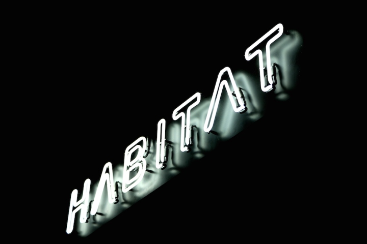 Неоновая подсветка логотипа в магазине брендовых кроссовок Habitat