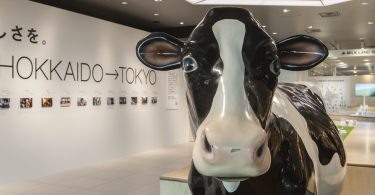 Необычный дизайн интерьера японского магазина «Milk Land»