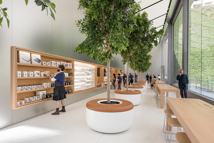 Проект интерьера магазина apple - использование дерева в интерьере