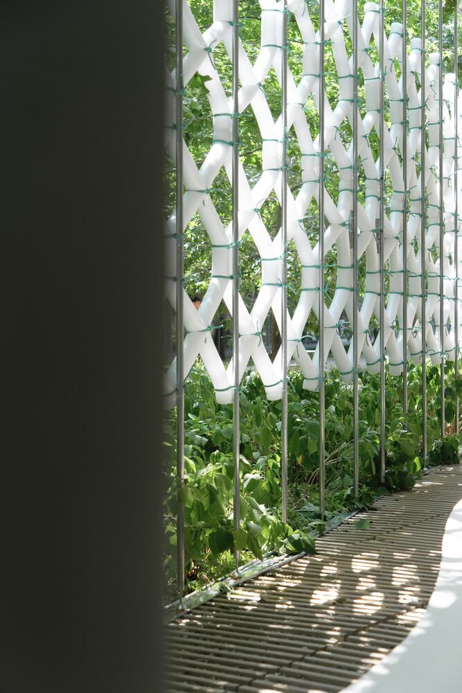 вид из магазина STARAY на оформление уличной зоны